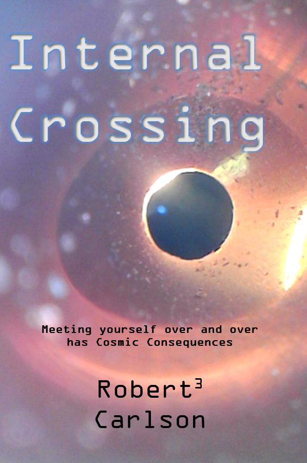 Internal Crossing Book Cover