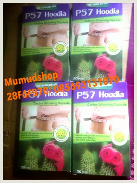 mumudbeautyshop pelangsing herbal p57 hoodia kaktus mumudbeautyshop pelangsing herbal p57 hoodia kaktus
