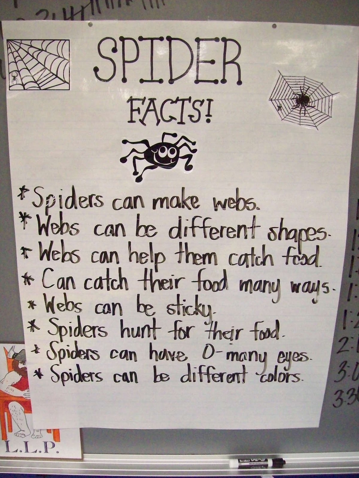 Teaching With Terhune: Spider Unit