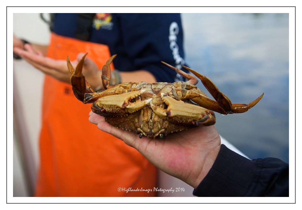 A Blogography of Photography Catching Crabs Inlet, Ketchikan