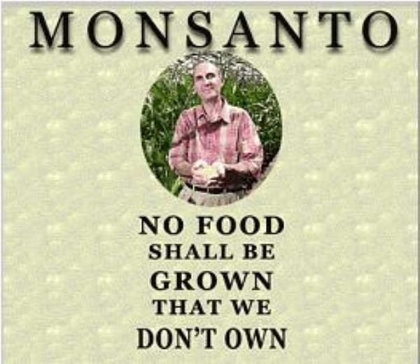 Does Monsanto Own Jung Seeds