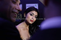 Shriya, saran, , sexy, cleavage, show, in, saree, sexy, photo