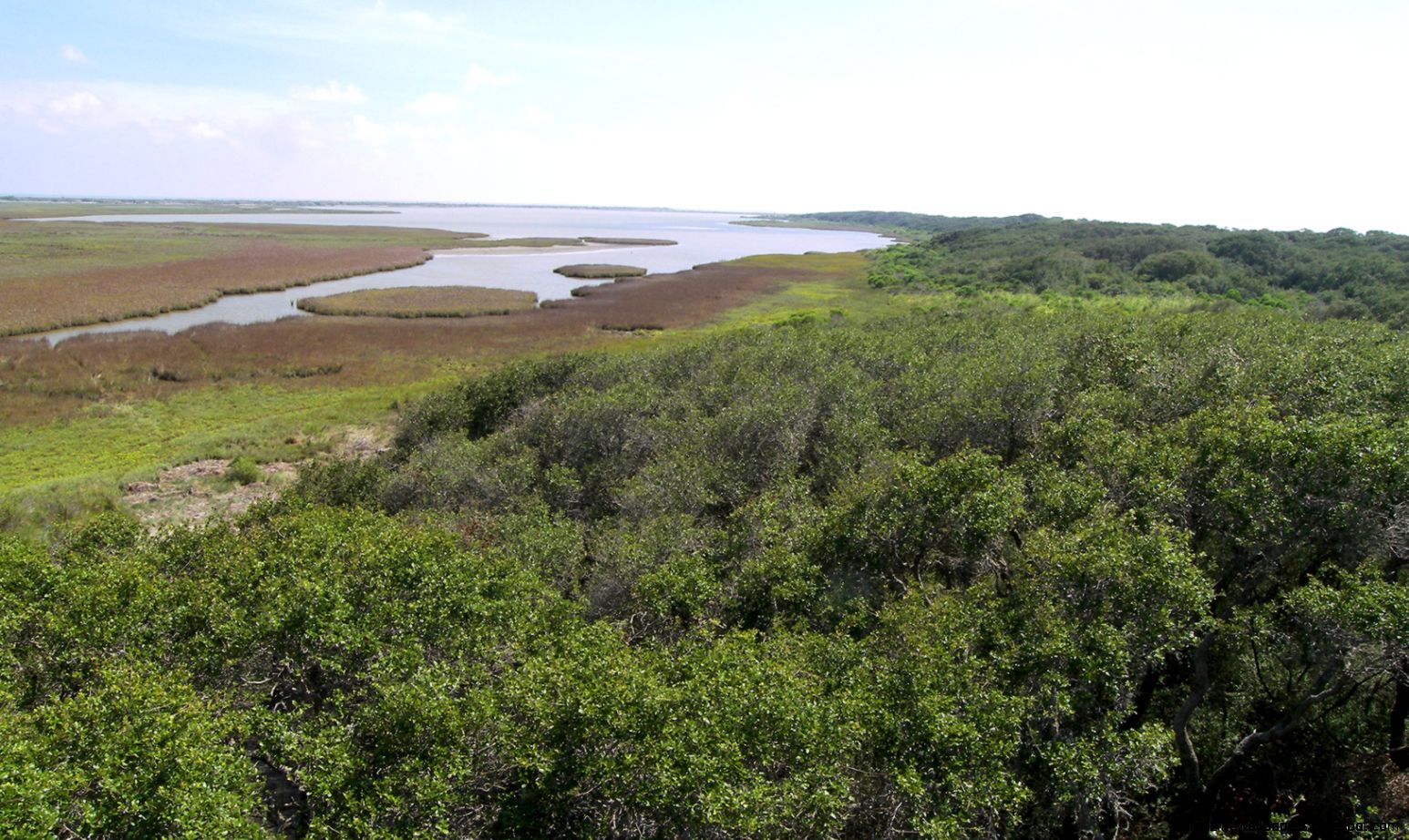 Aransas National Wildlife Refuge Wikipedia the free encyclopedia Aransas National Wildlife Refuge Wikipedia the free encyclopedia