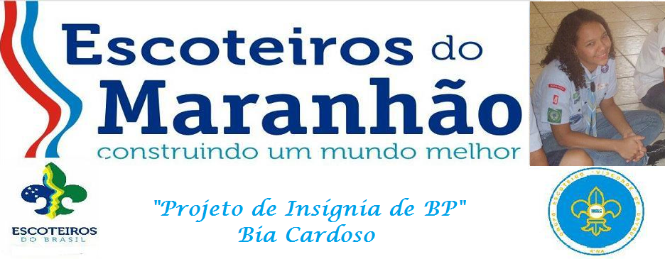Insígnia de BP Bia Cardoso