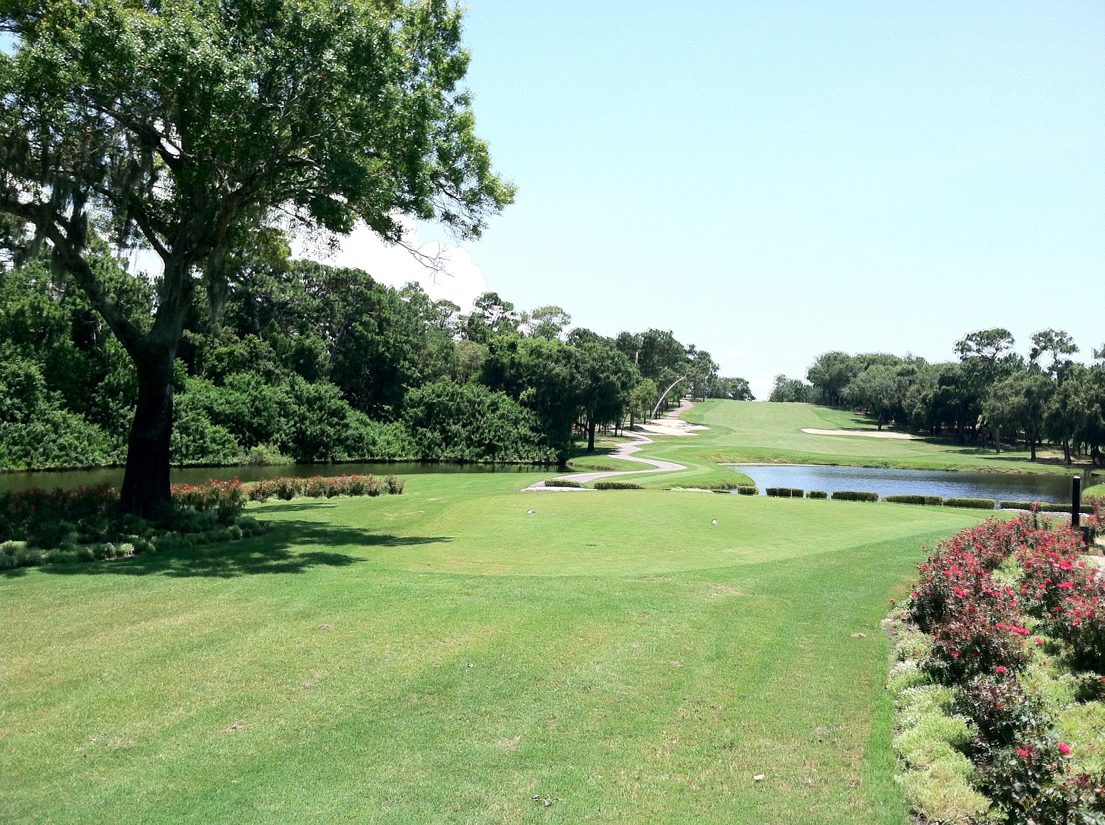 Copperhead at Innisbrook Golf Resort The World of Deej
