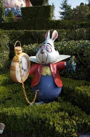 Ao melhor Coelho Frases Alice No Pais Das Maravilhas