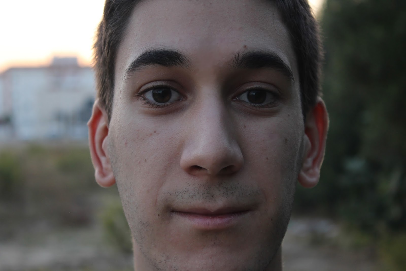 Mucho Arte Tipos de plano