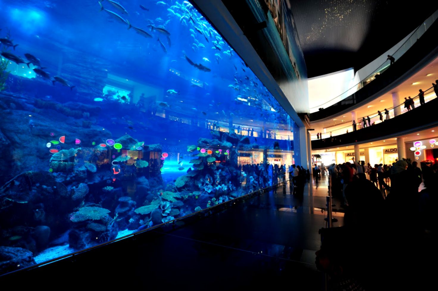 dubai mall aquarium wallpaper hd wallpapers dubai mall aquarium wallpaper hd wallpapers
