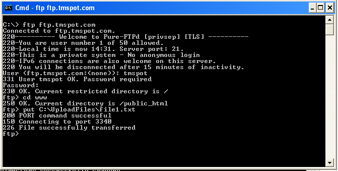 linux ftp command line mput