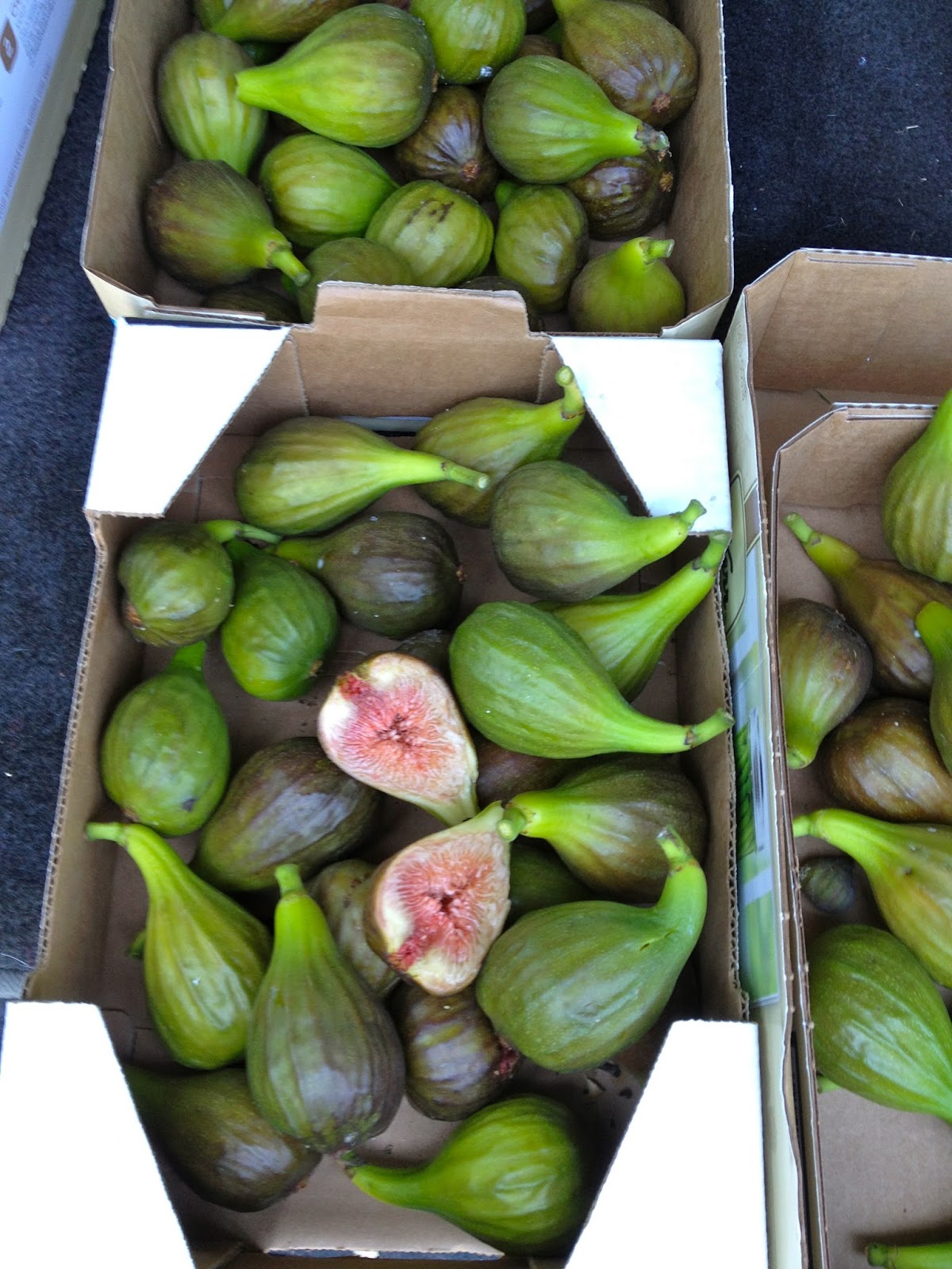 UrbanTerra Fig Season