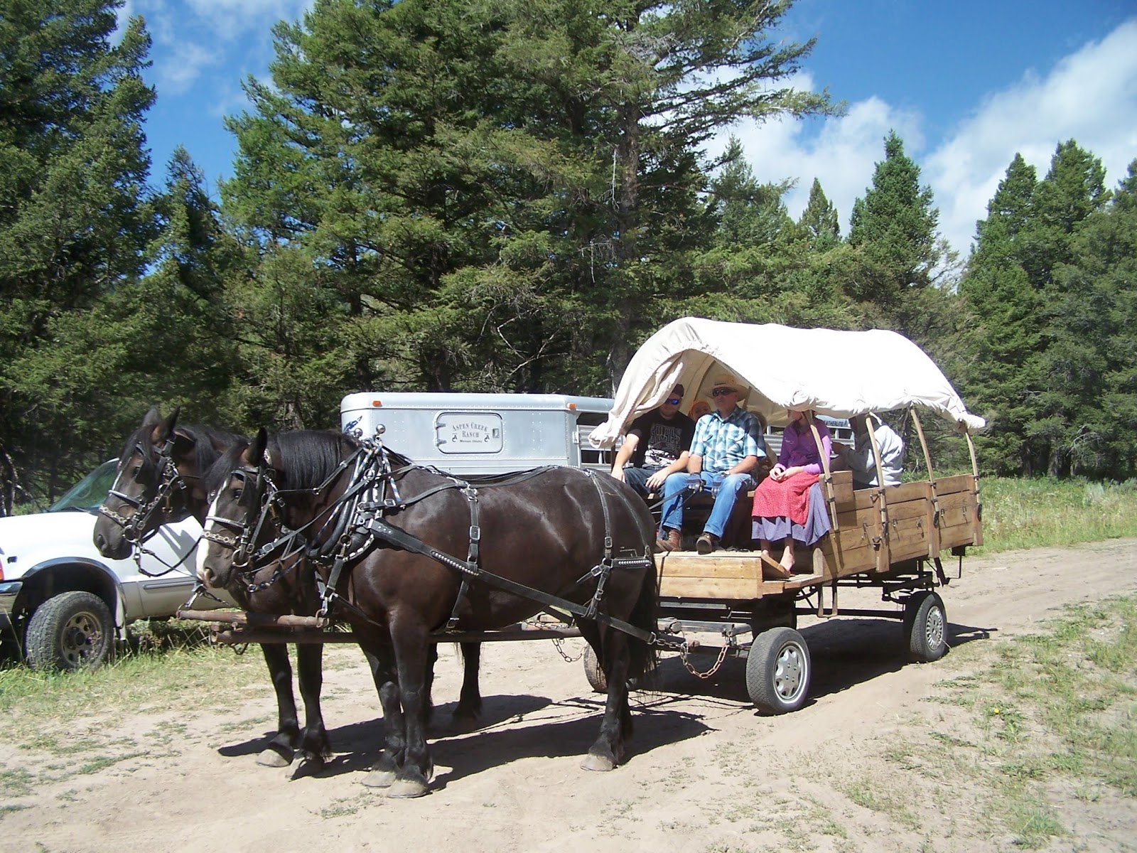 Intermountain Draft Horse and Mule Association Pictures from the wagon