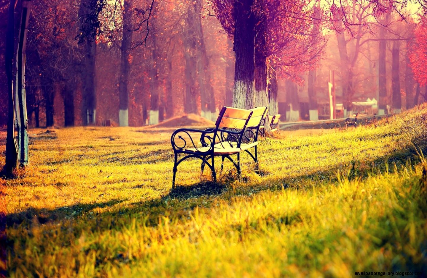 40 Wonderful Collection of Cute HD Wallpapers Stylonica 40 Wonderful Collection of Cute HD Wallpapers Stylonica