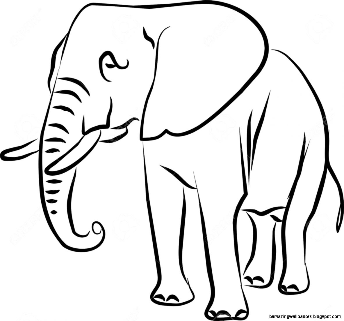 African Elephant Drawing Big eared Black And White Royalty Free African Elephant Drawing Big eared Black And White Royalty Free