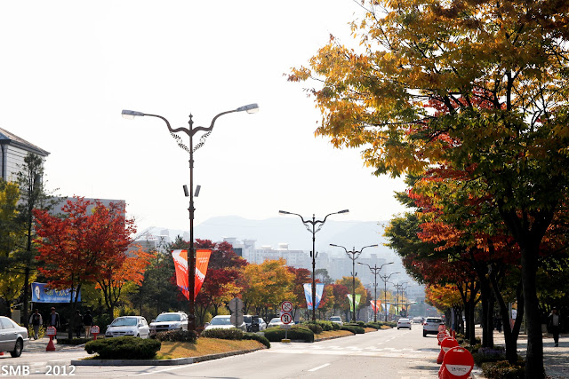 autumn korea