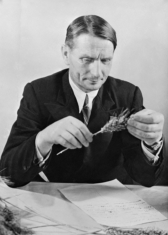 Результат пошуку зображень за запитом "лисенко и хрущев"