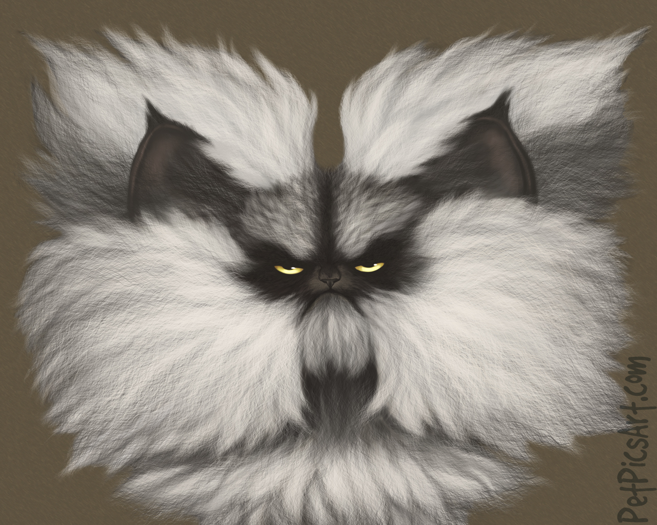 ColonelMeowWallpaper.jpg
