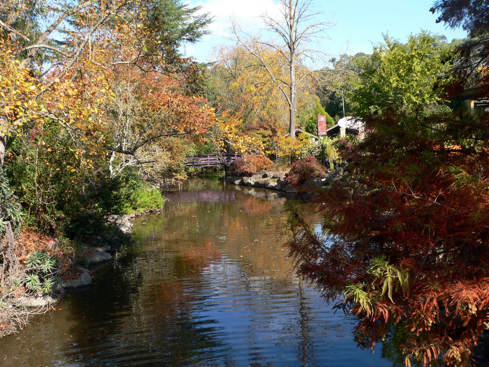 Melbourne Photographs Victoria Tasmania Queensland Australia deciduous