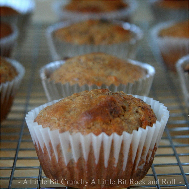 A Little Bit Crunchy A Little Bit Rock and Roll Refrigerator Raisin