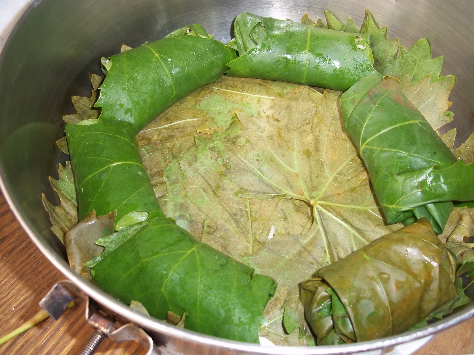 Armenian Stuffed Grape Leaves Recipe Frugal, Vegan Foraged Food