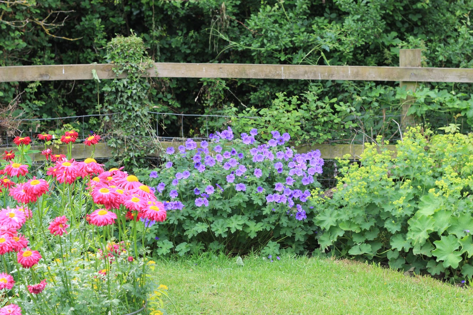 Flowers in the house Wild Acre