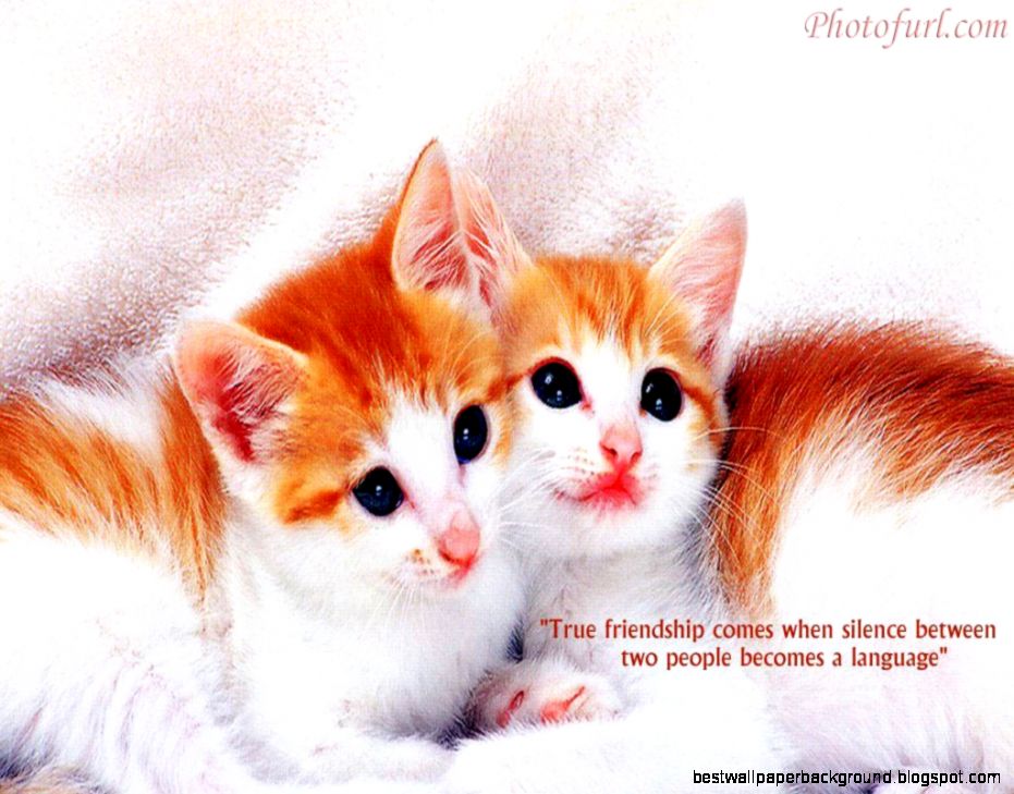 Cute Wallpapers Of Friendship With Quotes Wallpapers Img Need Cute Wallpapers Of Friendship With Quotes Wallpapers Img Need