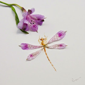 21-Lim-Zhi-Wei-Limzy-Paintings-using-Flower-Petals-www-designstack-co