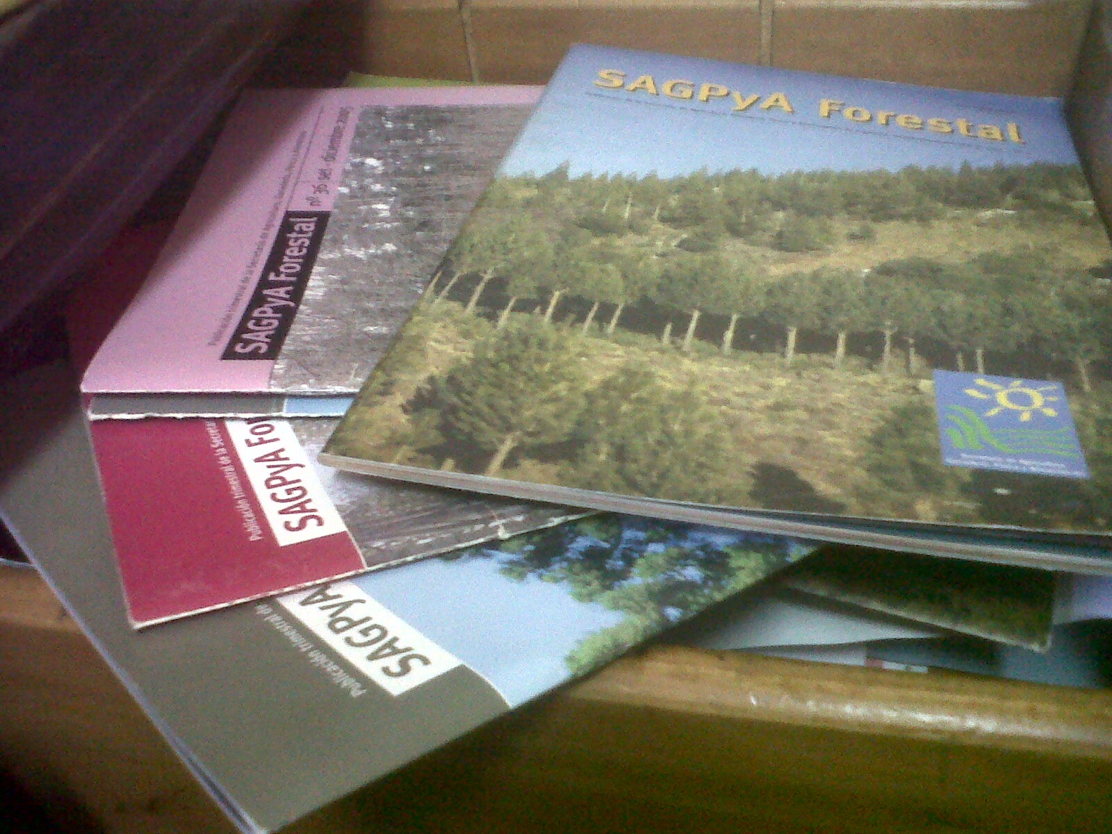 INDICE REVISTA &quot;SAGPyA FORESTAL&quot; Conversaciones y
