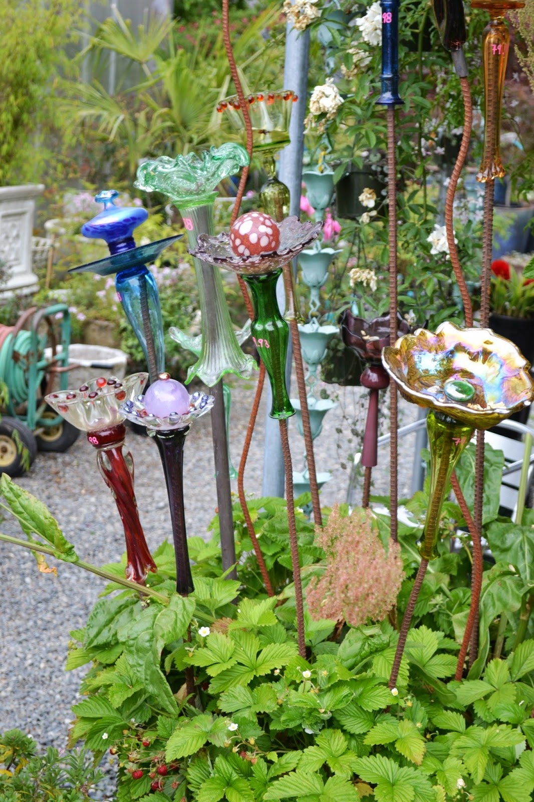 The Outlaw Gardener DIG! Meanwhile back on Vashon Island...