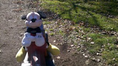 Mickey at the park