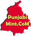 Punjabi Mint