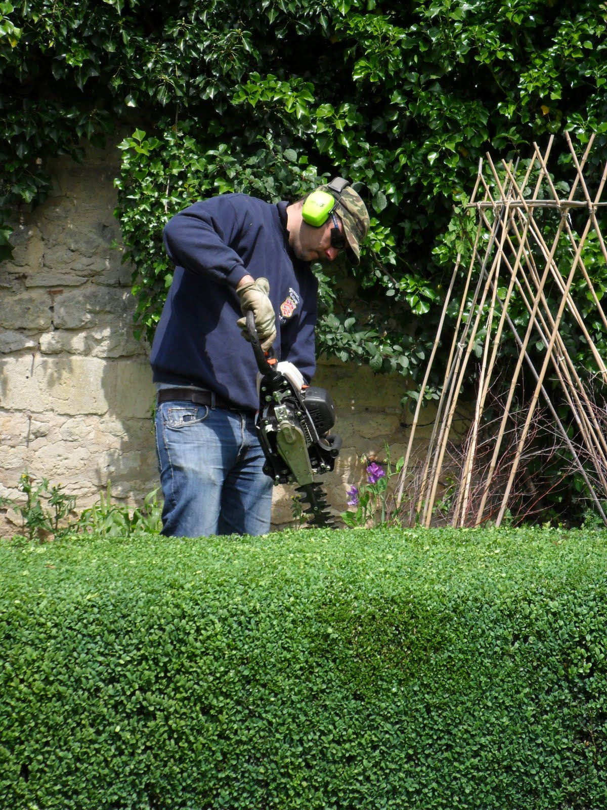 Worcester College Gardeners Hedge Trimming