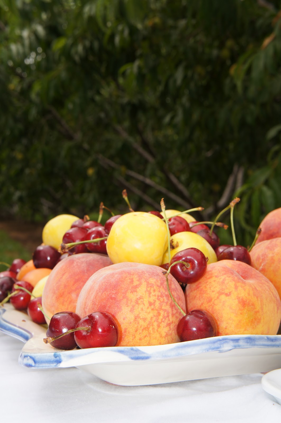 Upper End Travel Niagara Peaches Heaven in your Hand!