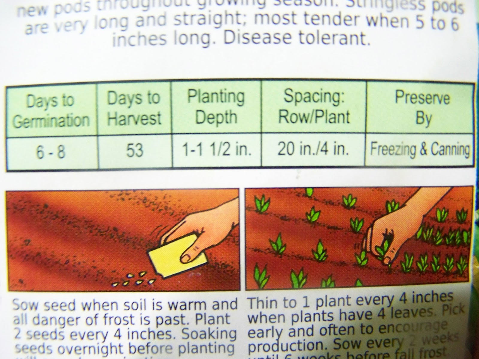Poppy Juice Plot Planting (How to Plant a Big Garden in a Small Space)