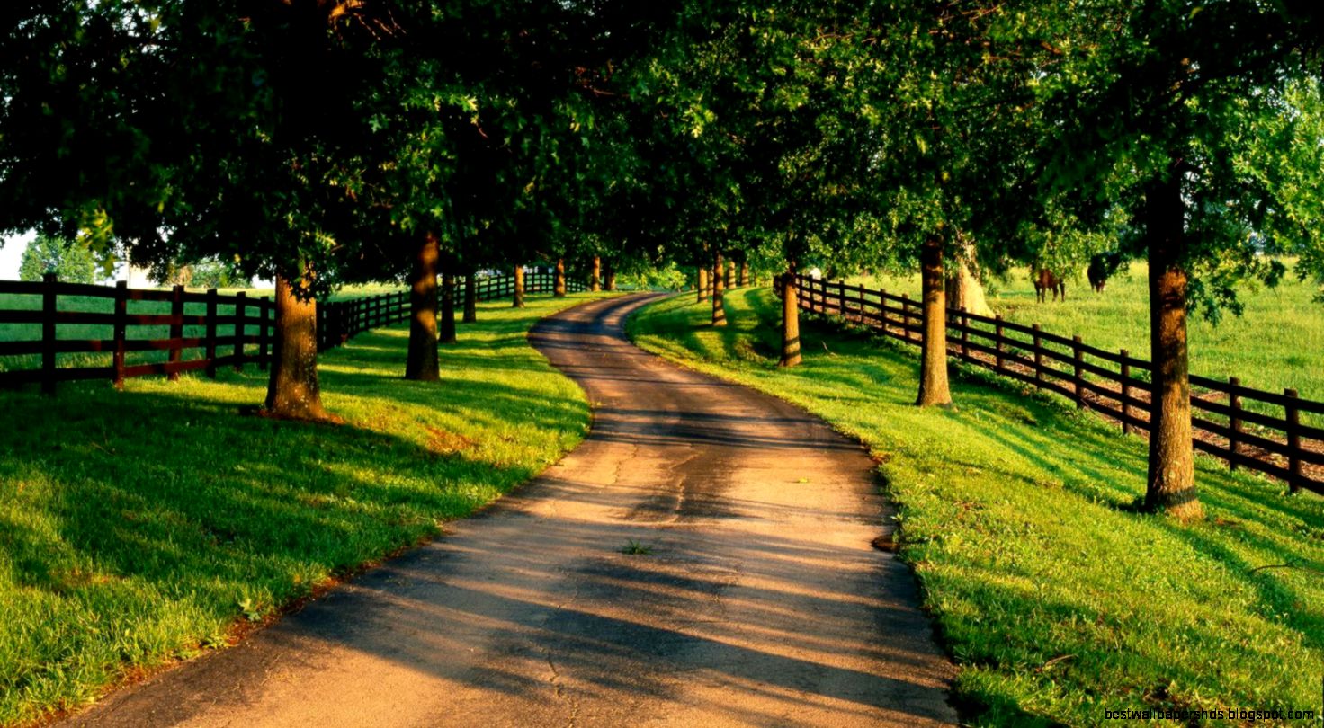 Summer Country Road desktop wallpaper « Summer Country Road desktop wallpaper «