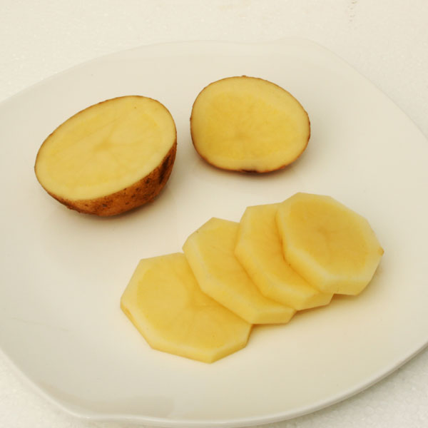 ebook kultur jaringan kentang