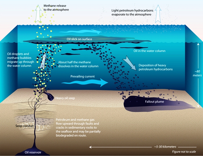 Where is the oil in the Gulf? Researcher takes a look