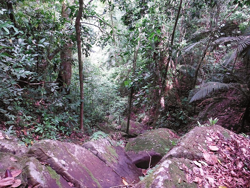 Phang Nga trekking trails