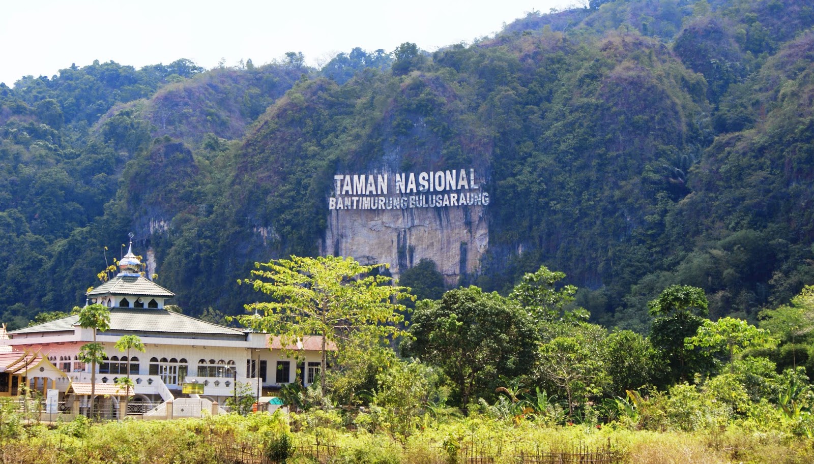 Nature in The World: Taman Nasional Betung Kerihun, Kalimantan Barat