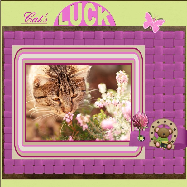 lo 2 March – 2016 – Cats Luck