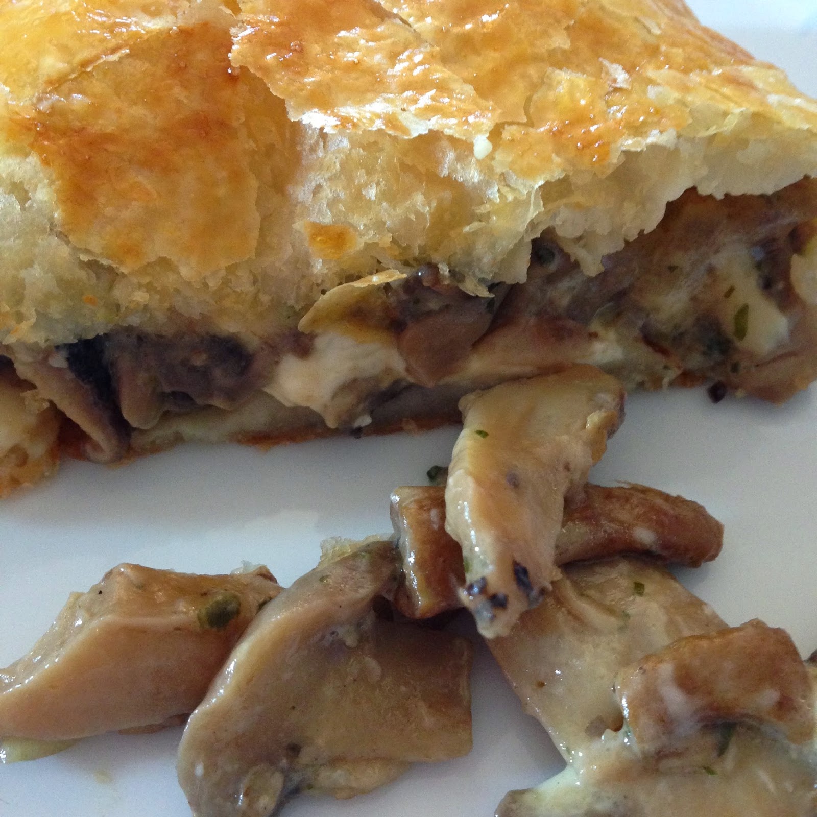 La Zucca Golosa Strudel ai funghi porcini e taleggio