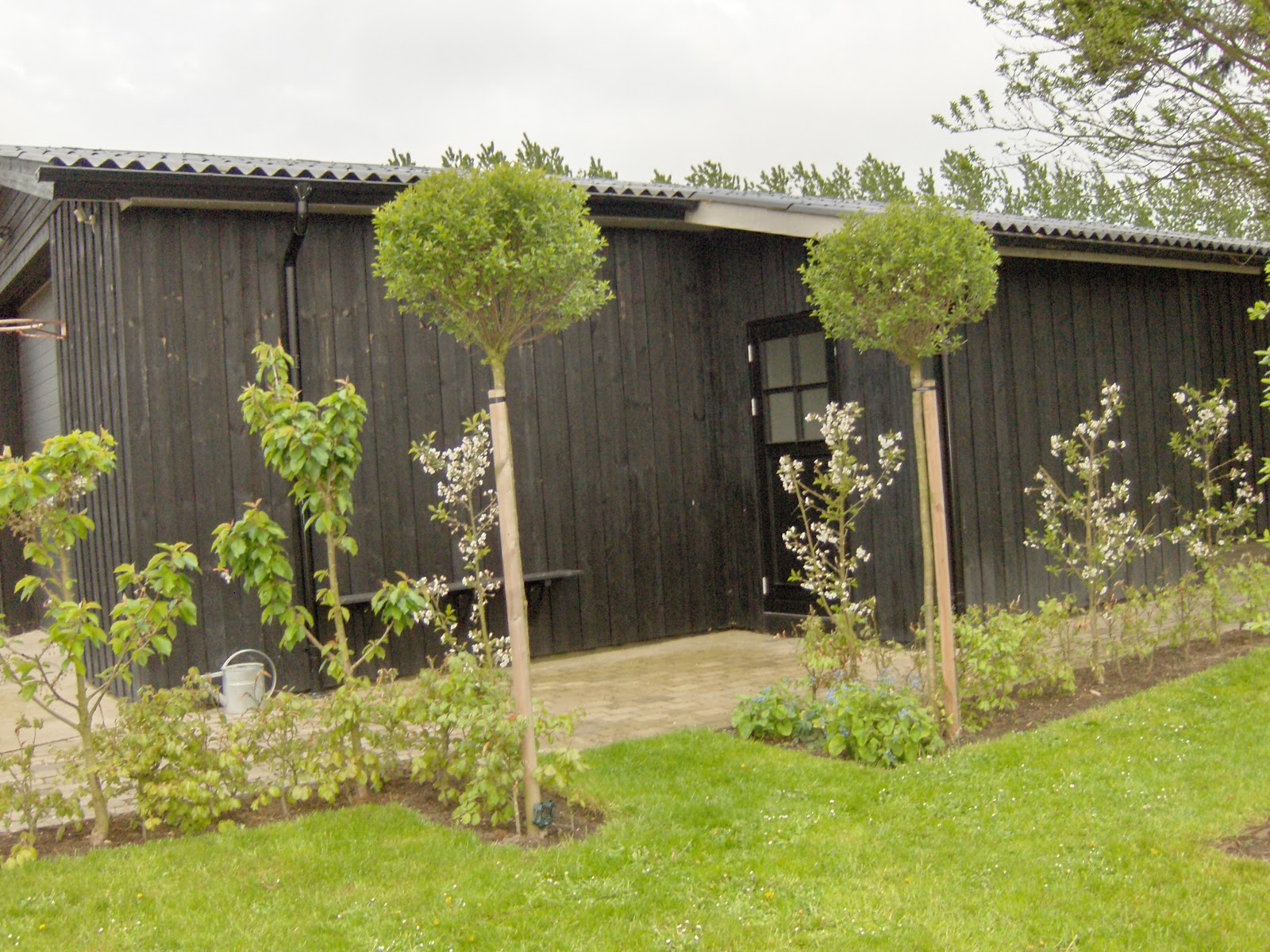 Lad romantikken blomstre: Ã
rets første Ã
ben have besøg