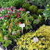 Feira de Flores da Paraíba disponibiliza oficinas grátiz nesta quinta-feira