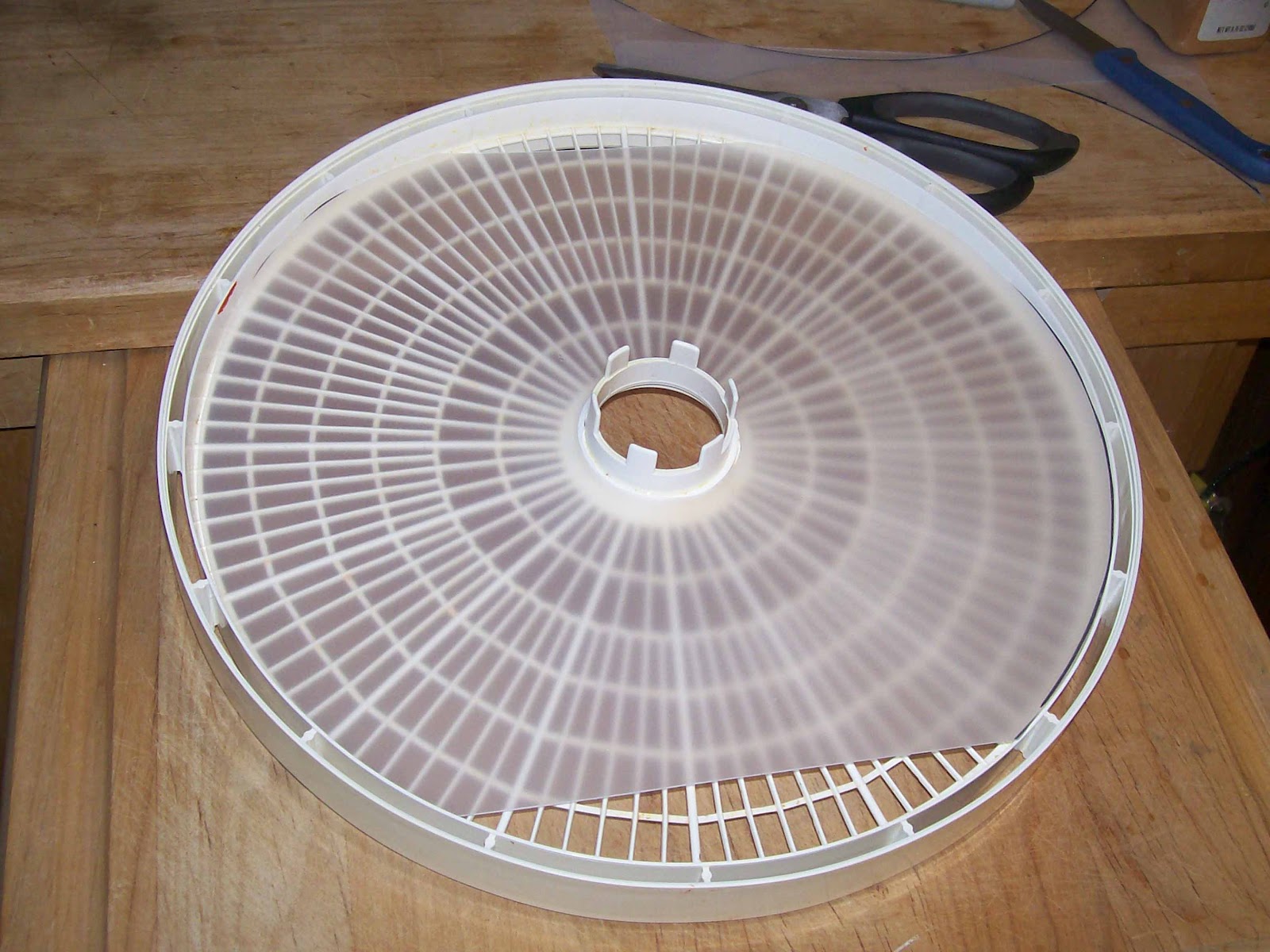 Dehydrating Way Beyond Jerky HomeMade Fruit Leather Trays