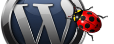FreeMium WordPress Theme