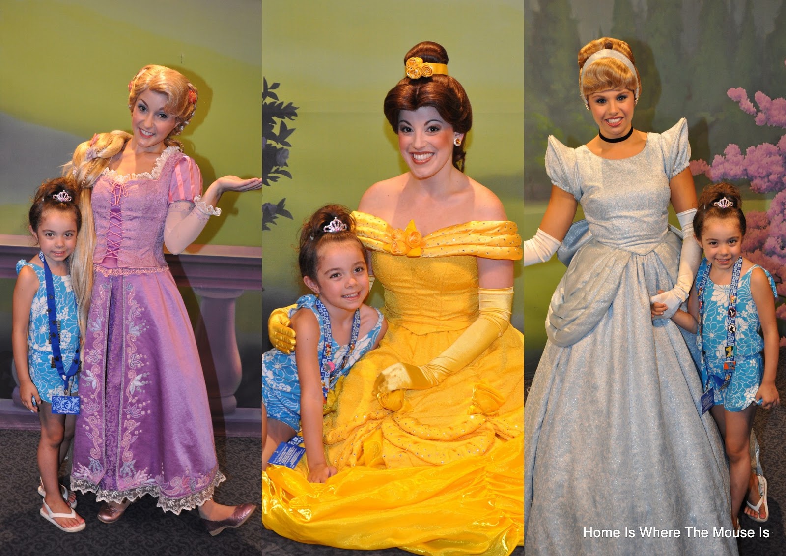 Photopass+20121.jpg