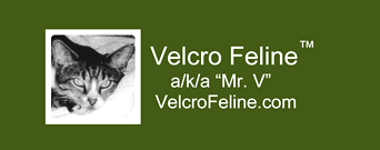 Velcro Feline | velcrofeline.com