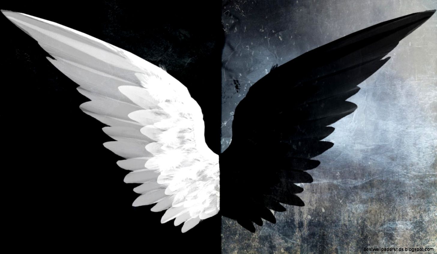 Angel Wings Wallpapers AHM HuTui6 Backgrounds Angel Wings Wallpapers AHM HuTui6 Backgrounds