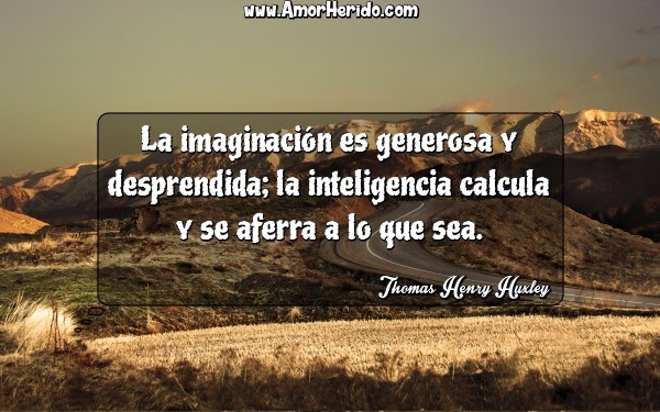 IMAGINACION EDUCACION imaginacion educacion: