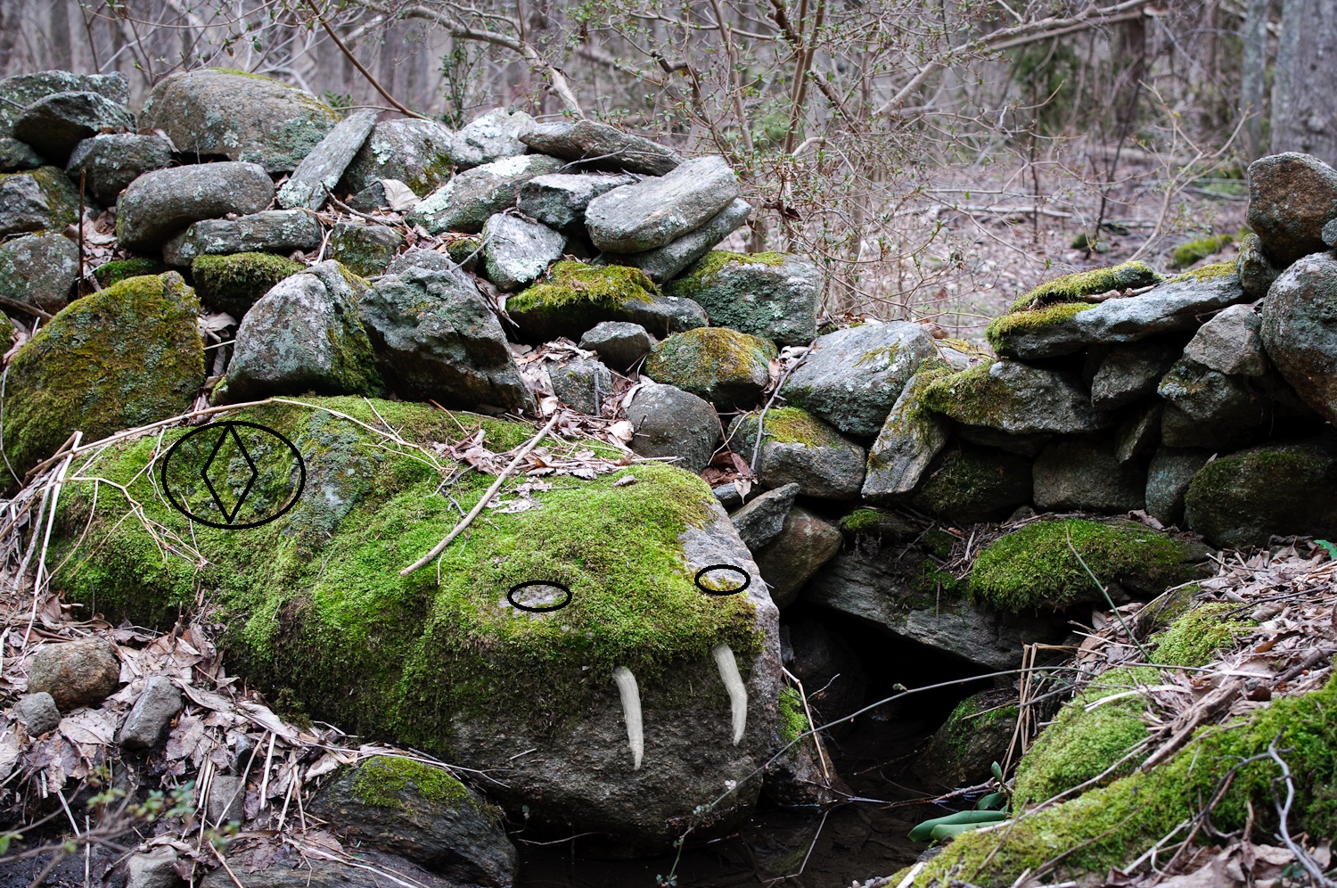 Waking Up on Turtle Island Mossy Rock (MA)