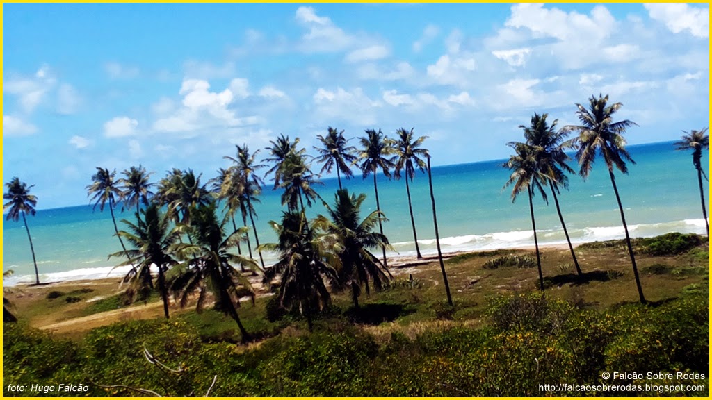 [Imagem: 20140916_112511.jpg]